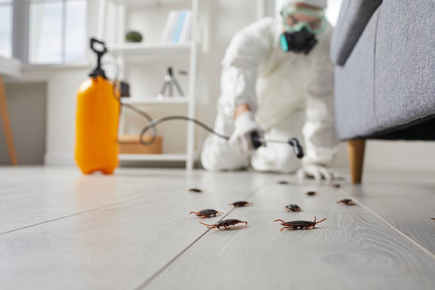 Commercial Kitchen Cockroach Control in Pontotoc